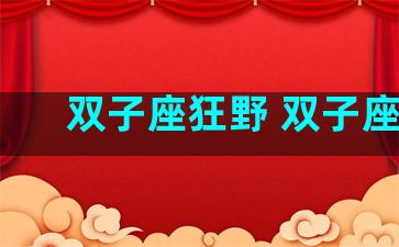 双子座狂野 双子座lc